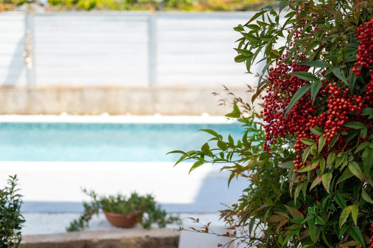 Apartment Adriana On Peaceful Location With Pool Пула Екстериор снимка
